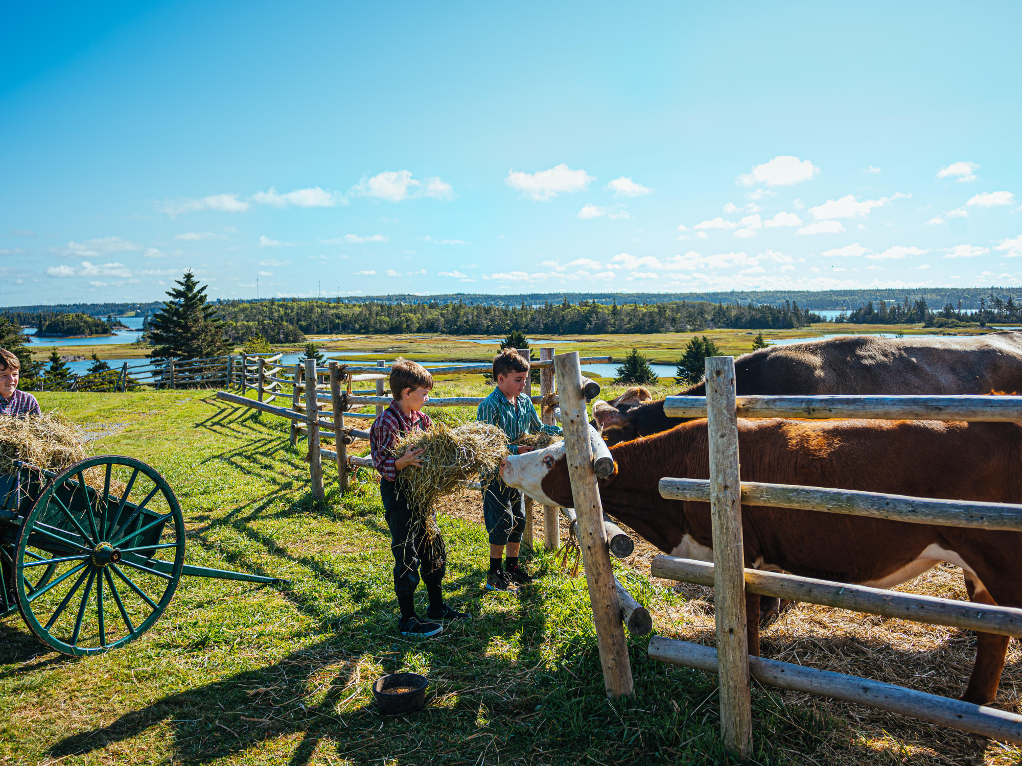 Children feeding a cow