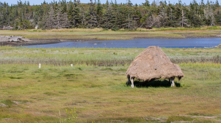 Salt Hay Stacks