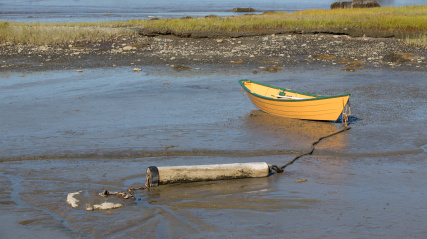 Yellow dory floats in Pubnico HArbour.