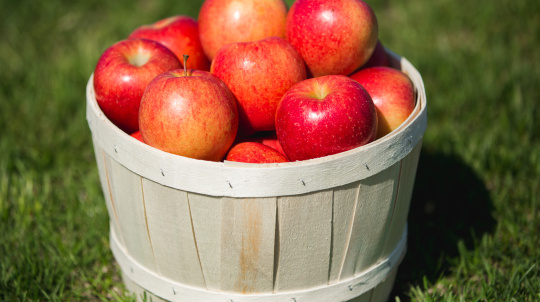 A basket of Nova Scotia apples.